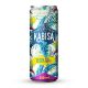 Karastusjook KABISA Real Energy 100% 250ml